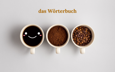 die Dialyse